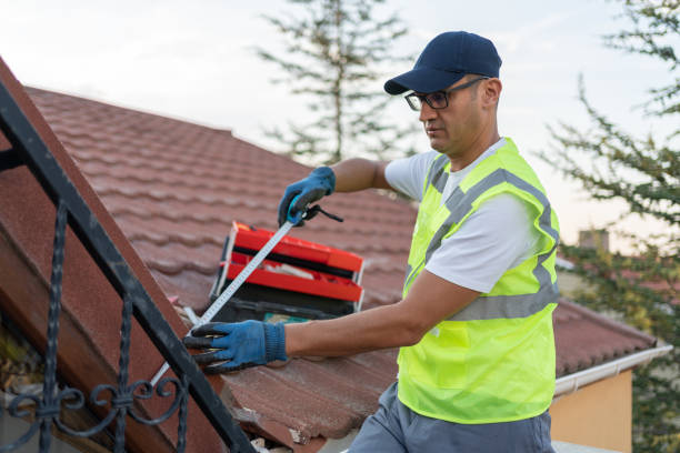 Best Wall Insulation Installation  in North Muskegon, MI